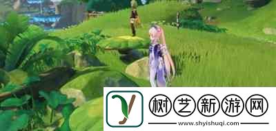 原神须弥双人宝箱位置一览