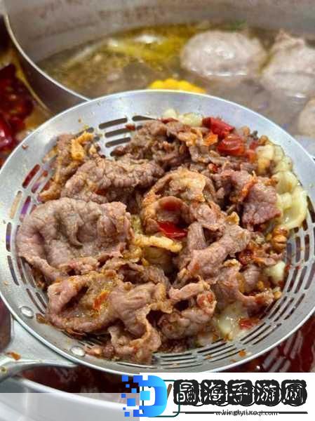 幻塔红烧肉烹饪秘籍解锁美味与力量的双重享受
