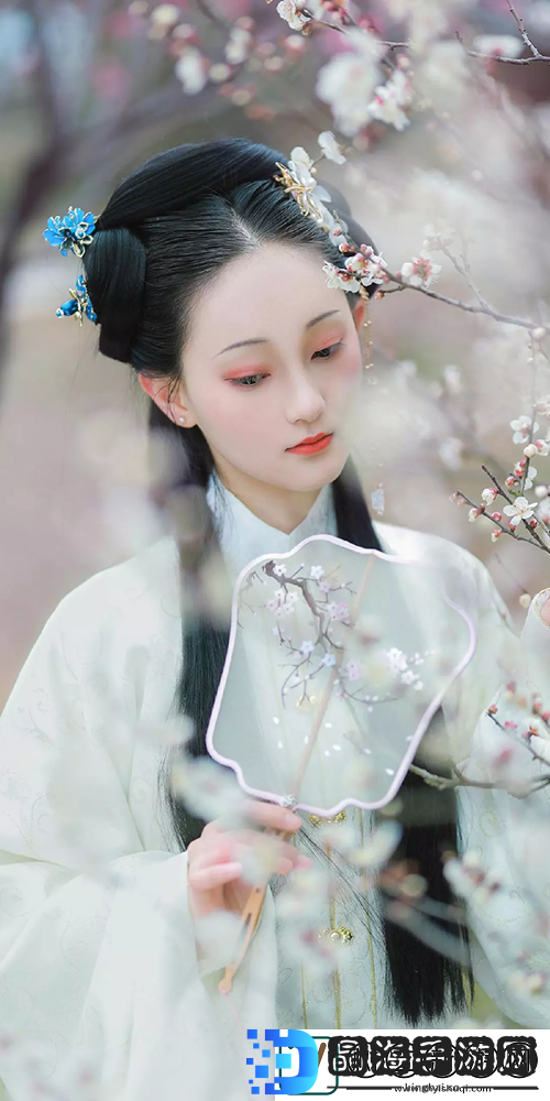 免费视频素材站推荐