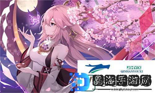 高清盛宴