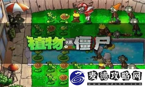 部落冲突城墙升级顺序：从经济到防御，全面解析！