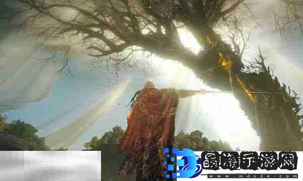 获取及使用方法介绍