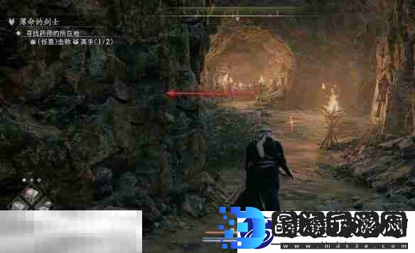 任务接取位置及流程攻略