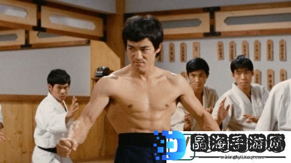 外媒评十佳中国武术电影