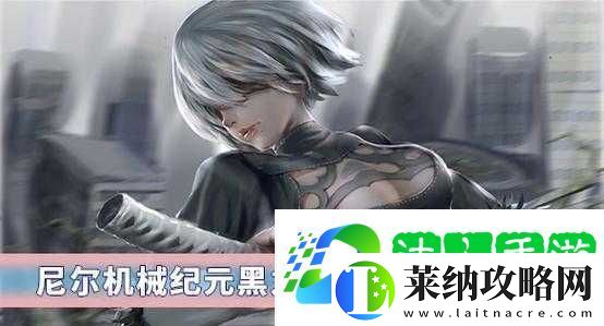 尼尔机械纪元中黑之契约究竟隐藏着怎样的秘密与力量