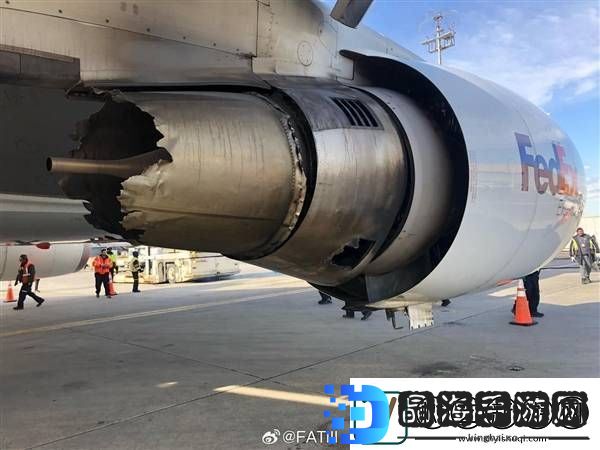 美国波音767飞机撞鸟后空中喷火