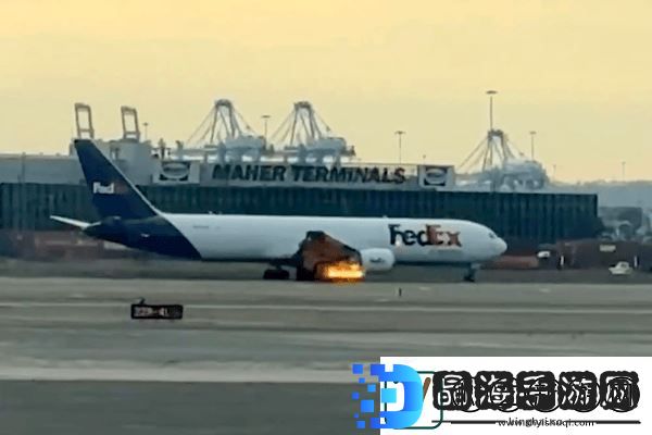 美国波音767飞机撞鸟后空中喷火