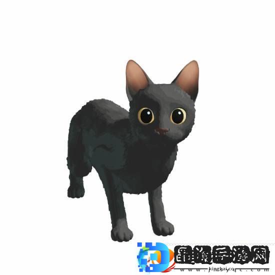 猫猫的奇幻漂流导演应中国粉丝要求