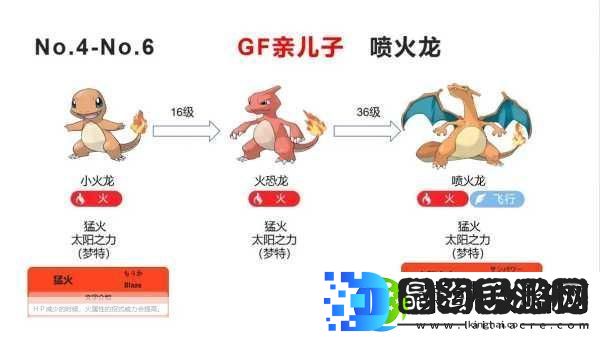 口袋妖怪圣灰