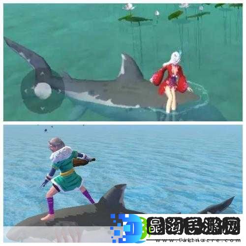 创造与魔法灰鲸鲨驯服饲料大揭秘