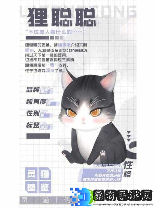 灵猫传橘滚滚实力如何