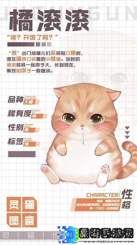 灵猫传橘苗苗究竟如何