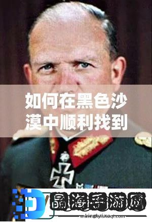 如何在黑色沙漠中顺利找到并驯服宠物鹰