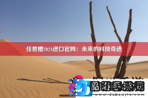 任意槽2024进口官
