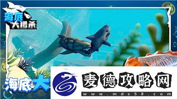 战争之人突击小队2怎么补给弹药全面解析弹药补给方式与战术应用