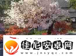 逆水寒手游